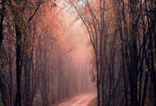 图片报：多特与吉滕斯分手的可能性越来越大，愿接受6000万欧报价.