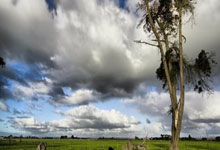 曼联球员抱怨滕哈赫训练时跑得太多.