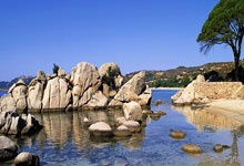 开云体育官网：《梁祝》响彻波士顿！加拿大姑娘进修中国舞，却未能得偿所愿.